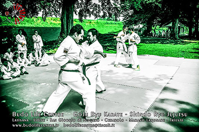 Bunkai Kata