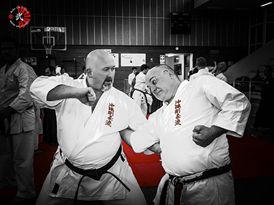 Master Budo